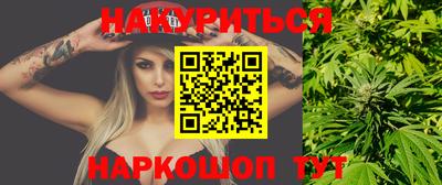 стафф Обнинск