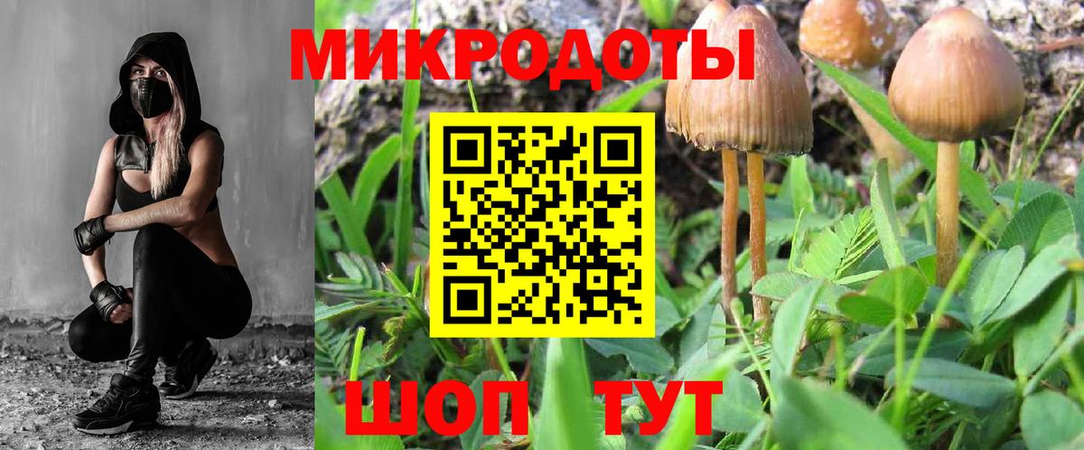 Фрязино  Псилоцибиновые грибы Psilocybine cubensis  Вход с VPN  Галлюциногенные грибы GOLDEN TEACHER 